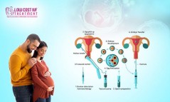 Affordable IVF Centre in Bangalore - Low Cost IVF Treatment