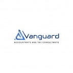 Expert Commercial Due Diligence Services for Informed Decisions