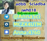 5CL-ADB Supplier 5cladba adbb China Supplier