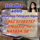 5cl-adb 5cladba 5cl 5cladba adbb precursor-