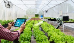 Buy Greenhouse Software