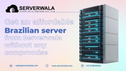 Get an affordable Brazilian server from Serverwala without any compromise