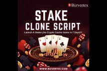 Tap into the Billion-Dollar Crypto Gambling Market with a Stake Clone Script