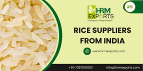 Best Rice Suppliers From India