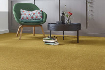 Buy Custom Made Wall To Wall Carpets Dubai | Carpeter