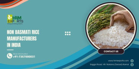 Best Non Basmati Rice Manufacturers in India
