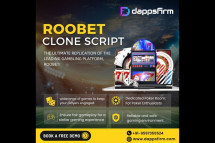 Entrepreneurs! Start a Roobet-Like Crypto Casino with White Label Support