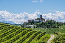 Piedmont Cuisine
