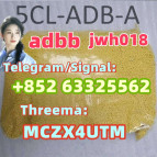 5CL Supplier 5c 5cl Vendor On Sale Now