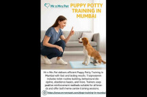 Puppy Potty Training in Mumbai