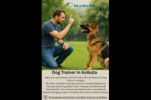 Dog Trainer in Kolkata