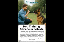 Dog Training Service in Kolkata