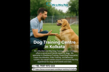 Dog Training Centre in Kolkata