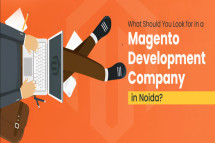 Explore Magento Companies in Noida – Quality, Experience & Results