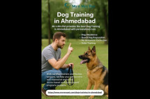 Dog Training in Ahmedabad