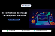 Decentralized Exchange Development Services