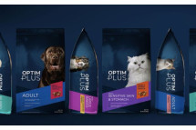 Get Impactful Results in Brand Packaging Design at Willoughby Design