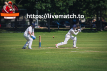 Instant Cricket Fix And Match Highlights Daily On LiveMatch
