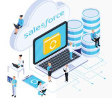 Professional Salesforce Development Services – Customized for Your Business