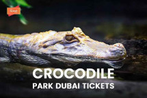 Dubai Crocodile Park Tickets Offer 2025
