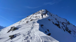Pangarchulla Peak Trek – A Perfect Himalayan Summit Climb