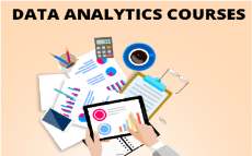 Master Your Skills with a Professional Data Analytics Course