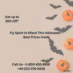 +1-800-651-8918 Fly Spirit to Miami This Halloween – Best Prices Inside