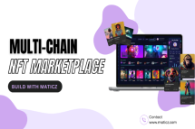 Empower Your NFT Business With Our Multi-Chain NFT Marketplace
