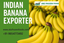 Golden Taste from India – Trusted Indian Banana Exporter Worldwide