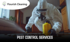 Best Pest Control Services in Dubai UAE