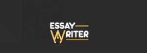 Essay Writer in Ireland