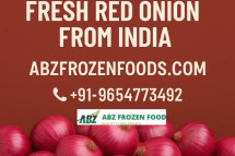 Trusted Exporter of Fresh Red Onion from India