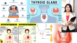 Nutrition Support for Hypothyroidism & Hyperthyroidism