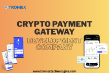 Develop a Blockchain-Based Payment Gateway for Your Business