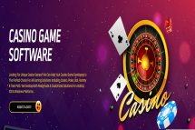 Casino Software Development Company: Launch Your Premium iGaming Platform