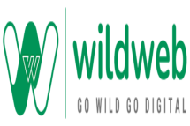 Leading Social Media Marketing Agency in Gujarat - WildWeb Digital