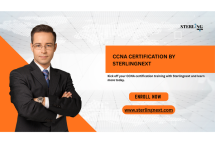 CCNA Certification Training – Live Online  and Classroom | Get Certified with SterlingNext