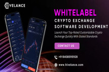 Step Into the Crypto Market Instantly with Top-Notch Whitelabel Exchange Software
