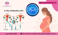 Experienced IVF Specialist Doctor in Bangalore - Tamara Hospital & IVF Center