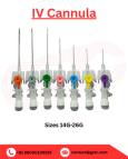 Top IV Cannula Manufacturers & Exporters from India