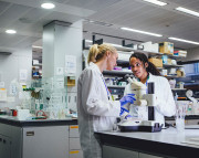 Criminal & Verification Background Checks | Students Screening Results