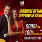 Instamatch Signup – Elevate Your Experience