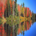 Inpatient Rehab Near Albany for Structured Recovery Care