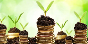 Succession Planning & Growth Advisory Services for Business Owners & Equity Firms