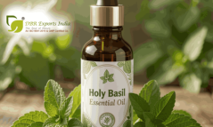 Rose Essential Oil Suppliers for Bulk Buyers