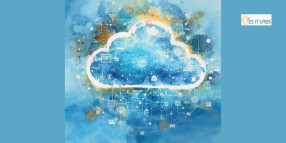 Transform Your Business with Expert Web Portal Development