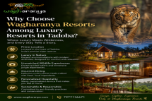 Why Choose Wagharanya Resorts Among Luxury Resorts in Tadoba?