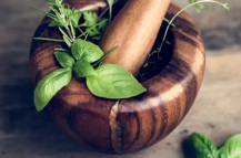 Trusted Ayurvedic Center Houston for Holistic Wellness | Patanjali Wellness Center