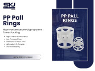 Durable Pall Ring in Dubai for Industrial Applications