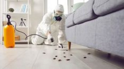 Pest Control Services in Fairbanks